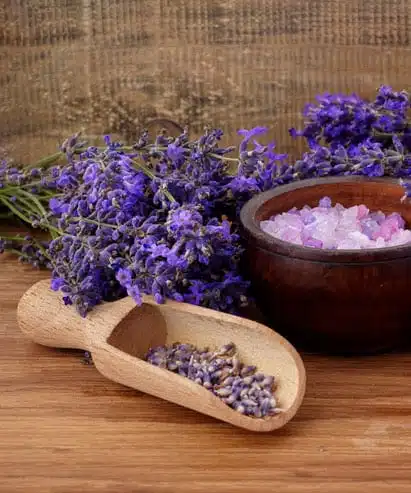 Boutique daromatherapie lavande 411
