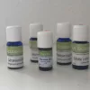 trousse de secours aromatherapie emotionnelle 5 huiles essentielles indispensables