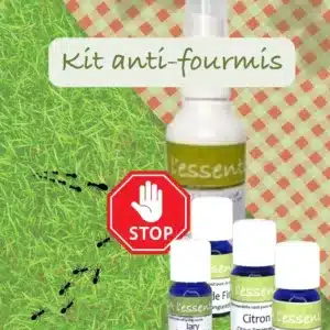 Kit complet pour créer son répulsif fourmis naturel