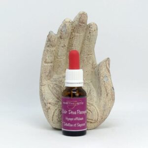 Intuition et Sagesse