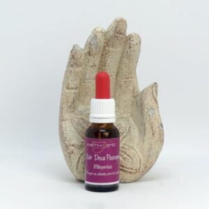 Se frayer un chemin vers la Lumière