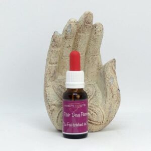 Le feu éclatant du soleil