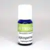 Leptosperme citronné Bio