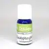 Eucalyptus globuleux Bio