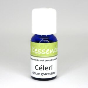 Céleri Bio