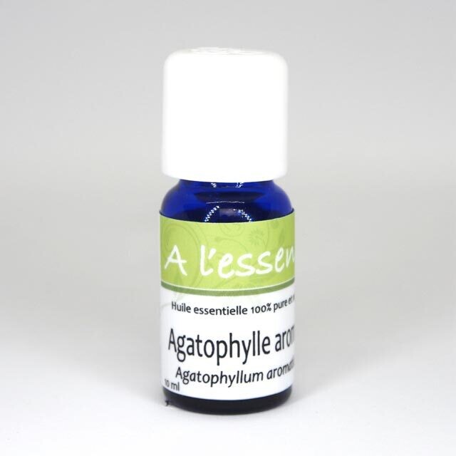 Agatophylle aromatique feuille Bio