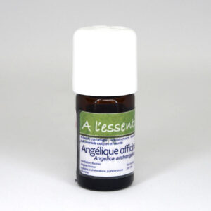 Angélique officinale Bio