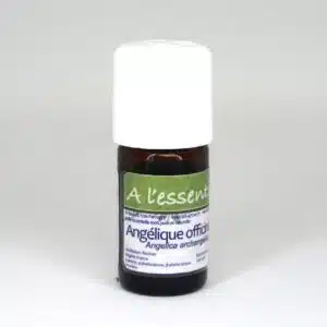 Angélique officinale Bio