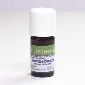 Armoise herbe-blanche Bio