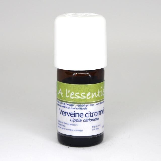 Verveine citronnée Bio