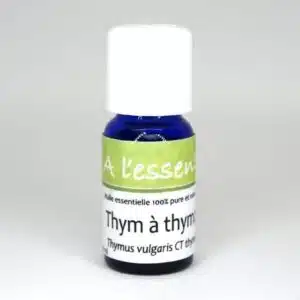Thym vulgaire à thymol Bio