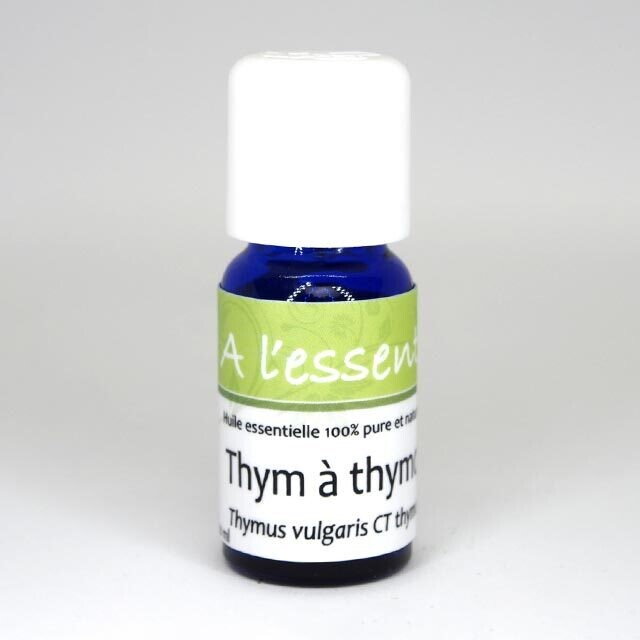 Thym vulgaire à thymol Bio