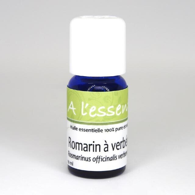 Romarin officinal à verbénone Bio
