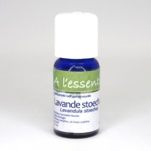 Lavande stoechade Bio