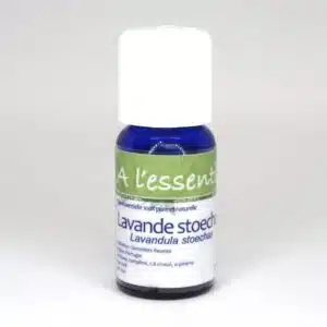 Lavande stoechade Bio