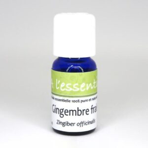 Gingembre frais Bio