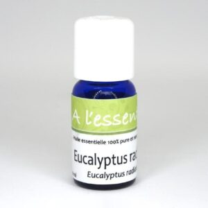 Eucalyptus radié Bio