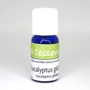 Eucalyptus globuleux Bio