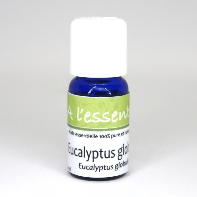 Eucalyptus globuleux Bio