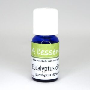 Eucalyptus citronné Bio