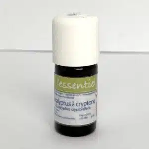 Eucalyptus à Cryptone Bio